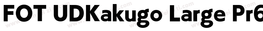 FOT UDKakugo Large Pr6N U字体转换